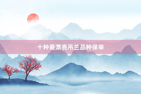十种最漂亮吊兰品种保举