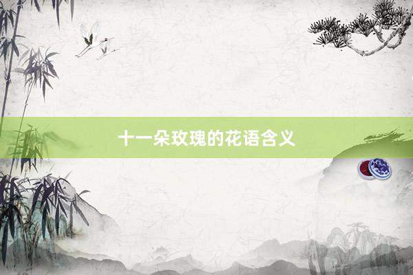 十一朵玫瑰的花语含义
