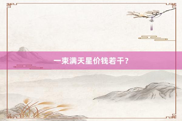 一束满天星价钱若干？
