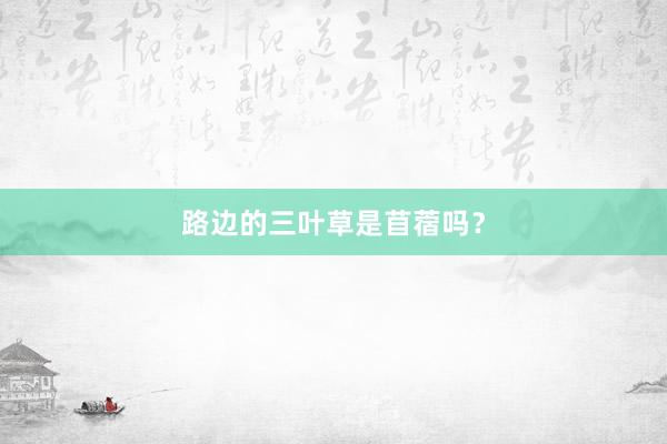 路边的三叶草是苜蓿吗？