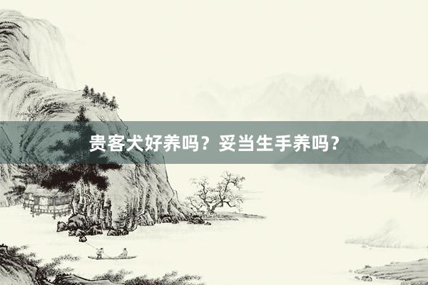贵客犬好养吗？妥当生手养吗？