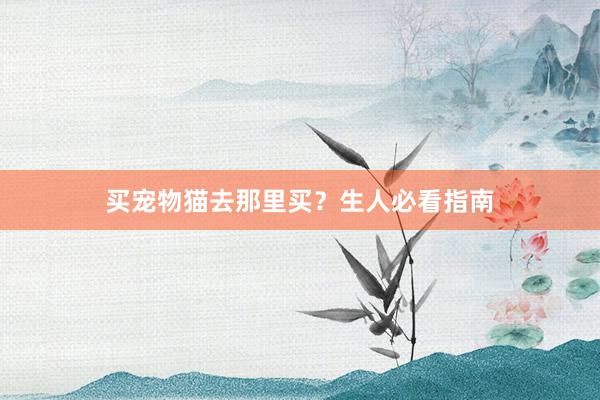 买宠物猫去那里买?生人必看指南